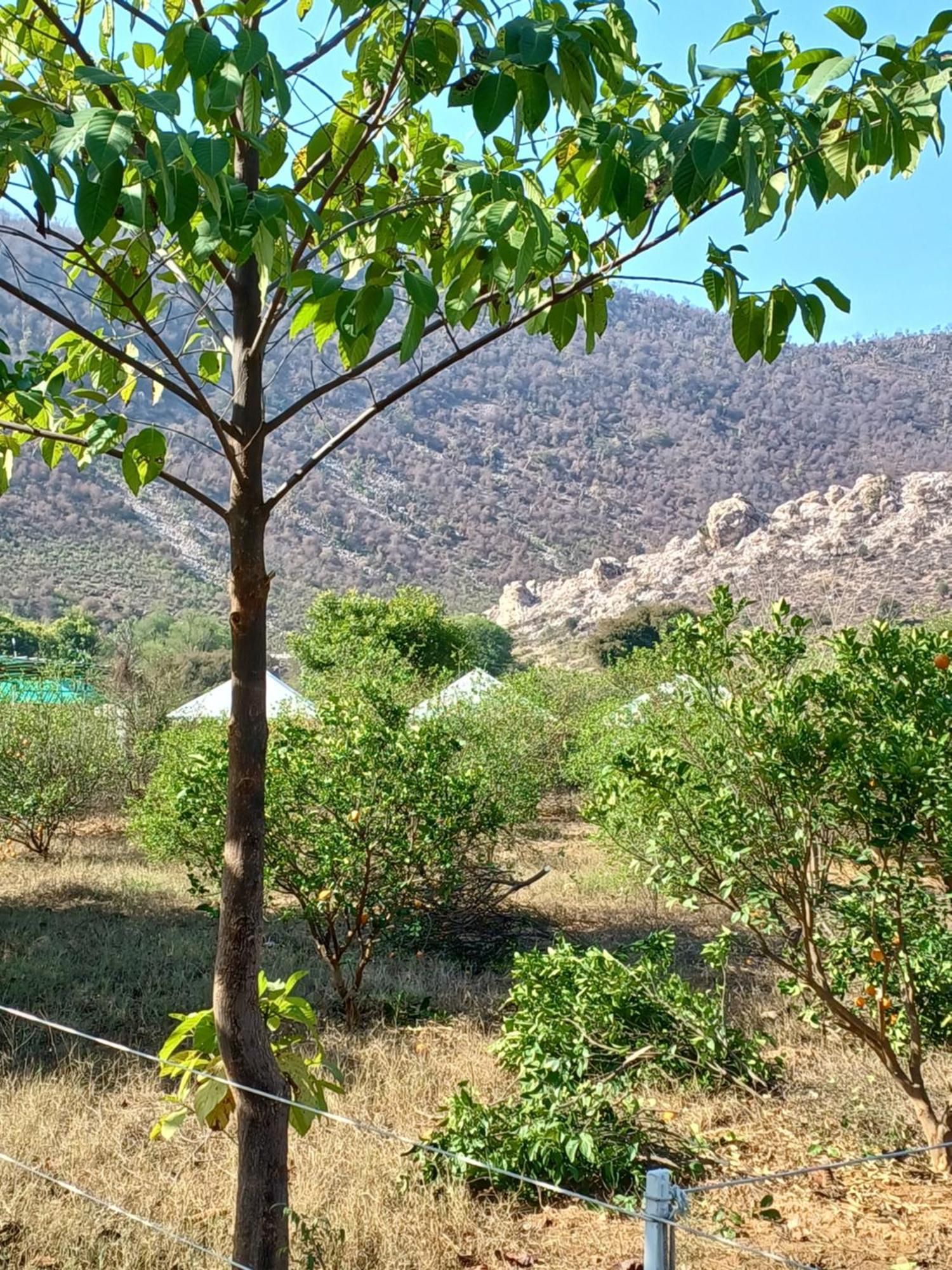אלוואר Shivir Aranya - Wilderness Resort מראה חיצוני תמונה